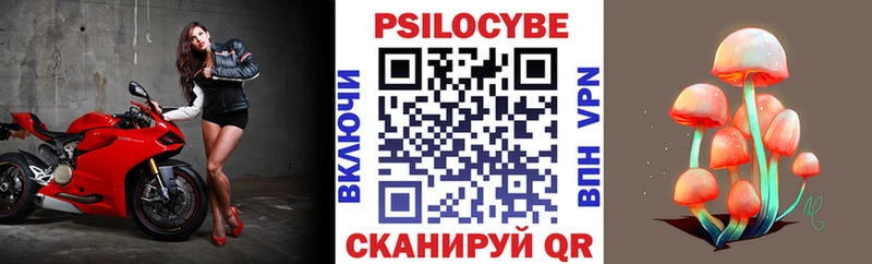 Псилоцибиновые грибы ЛСД  mega сайт  Щёкино 